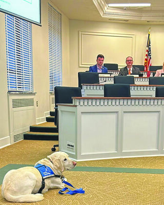 Courthouse dogs were on hand in Olympia as rules surrounding their appearance in court are clarified in a proposed bill in Olympia.